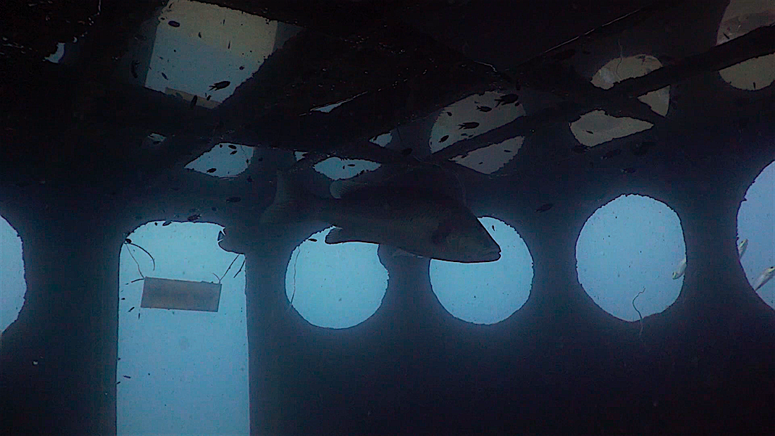 HTMS Sattakut photo 6