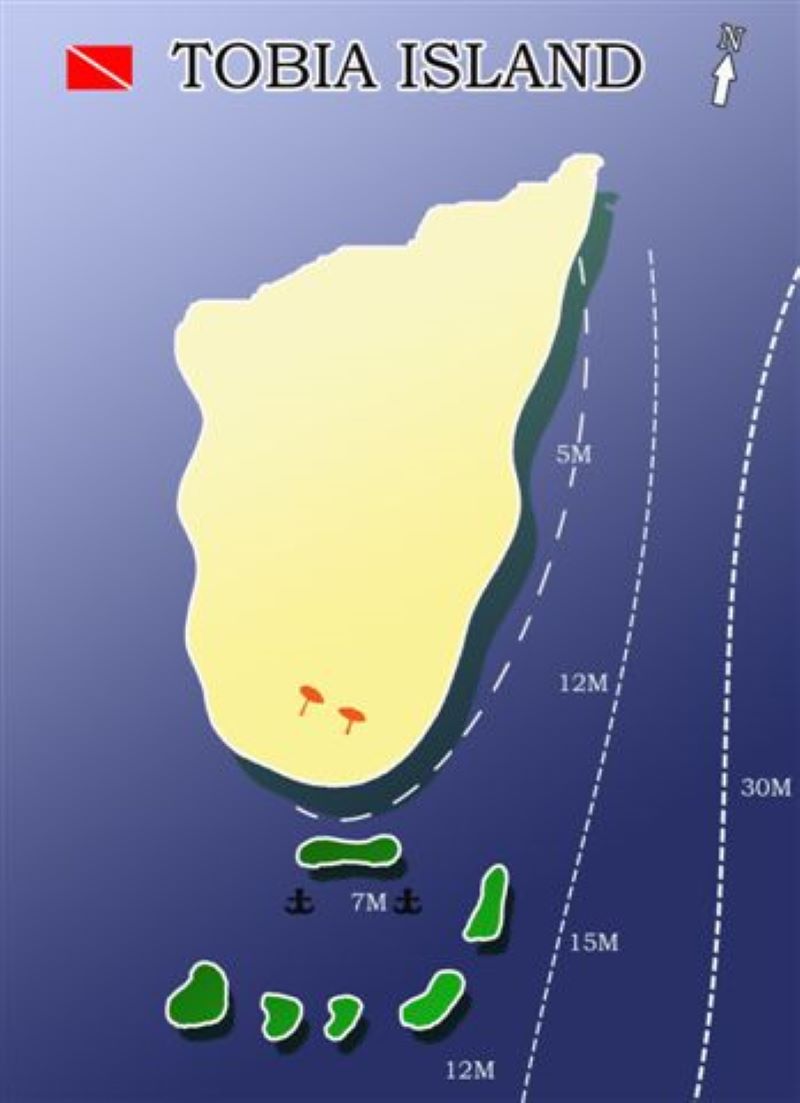 Tobia Island photo 2