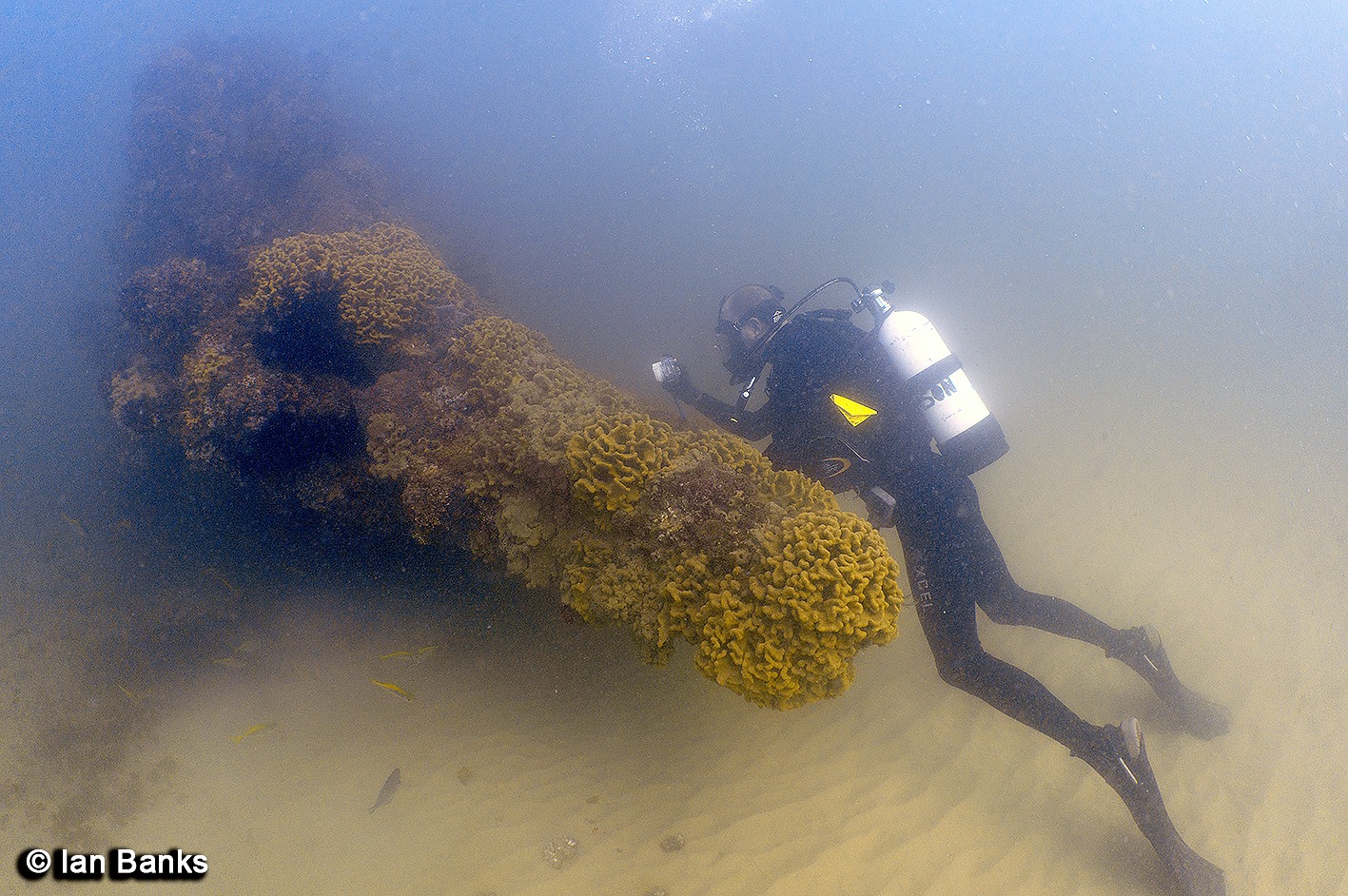 The Scottish Prince Shipwreck photo 5