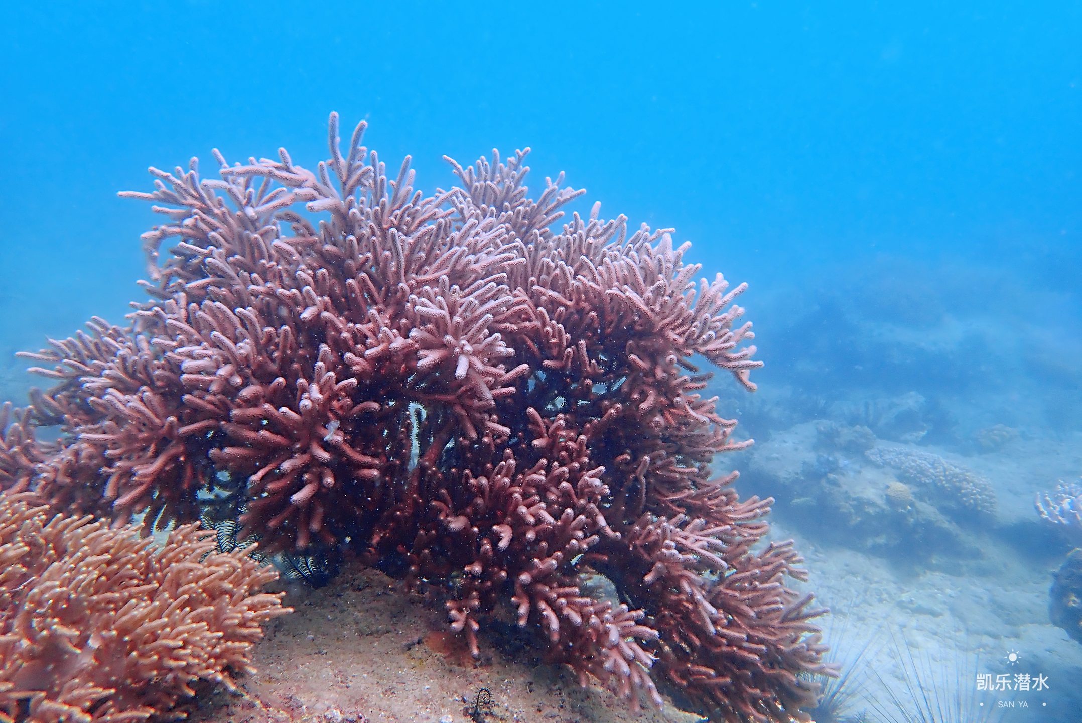 百福湾 photo 8