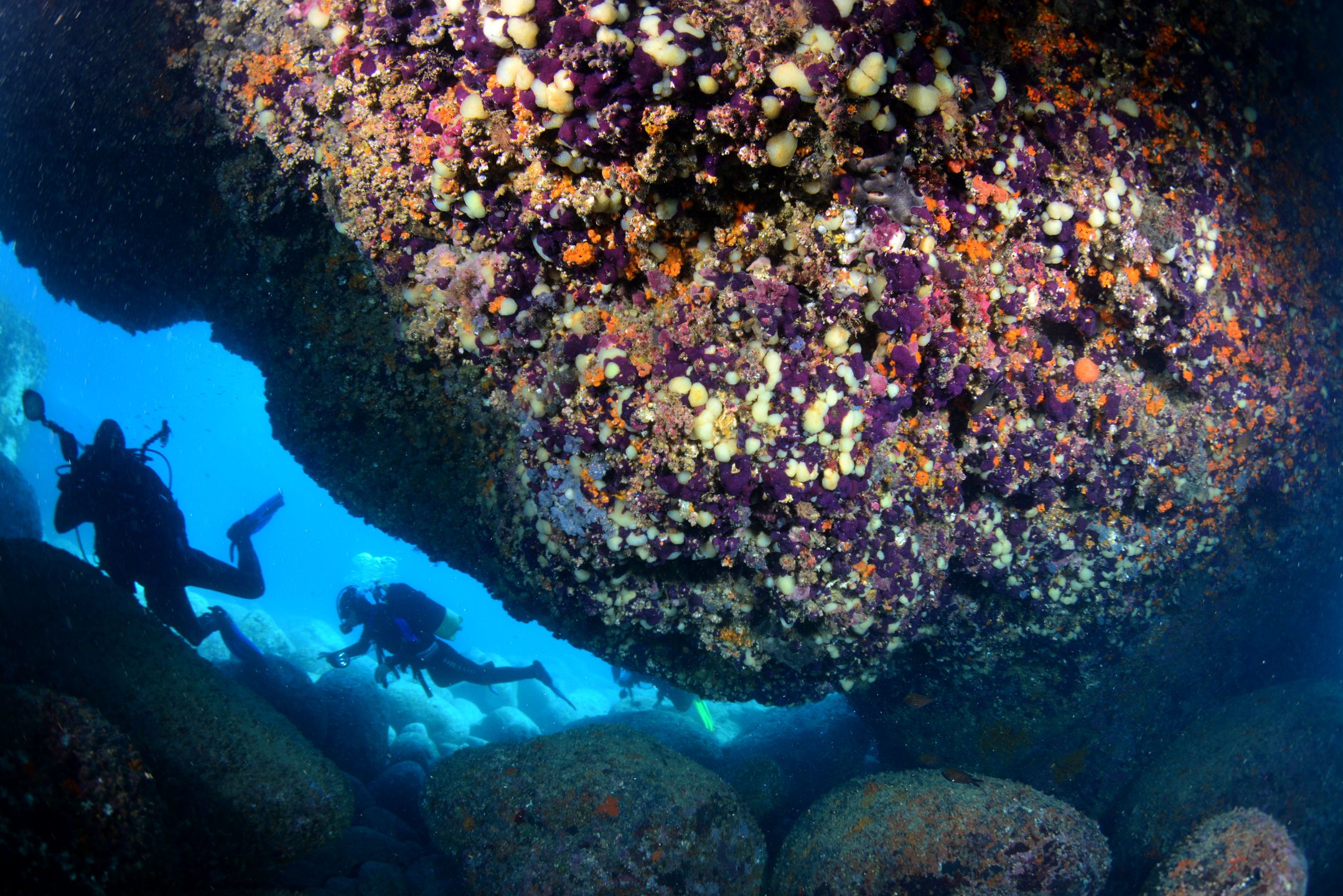 Archi e Grotte photo 3