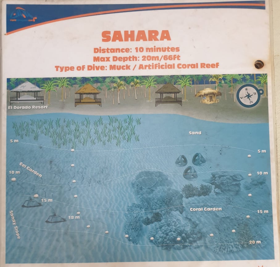 Sahara photo 2