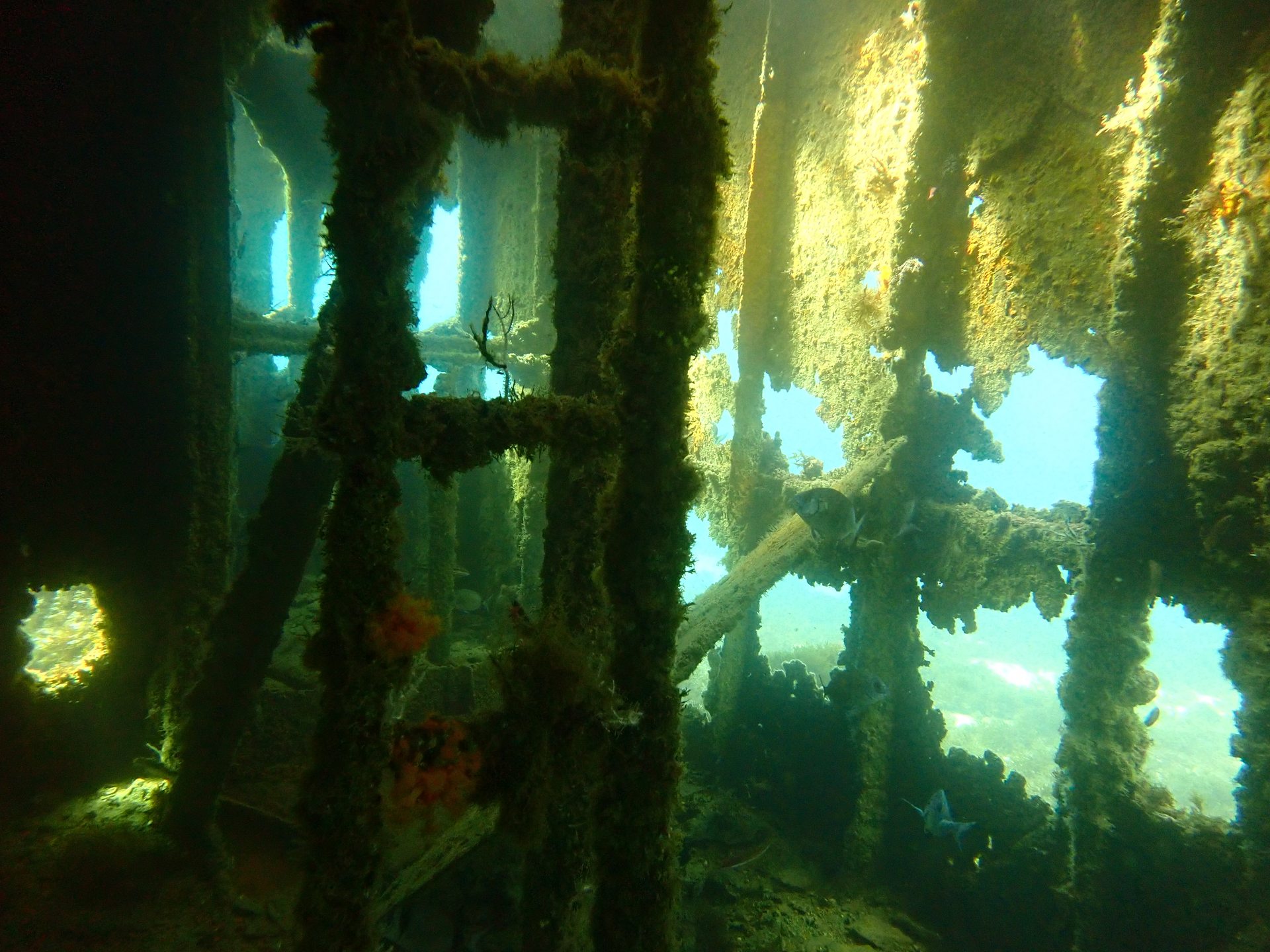 Rosia Bay, Gibraltar photo 4
