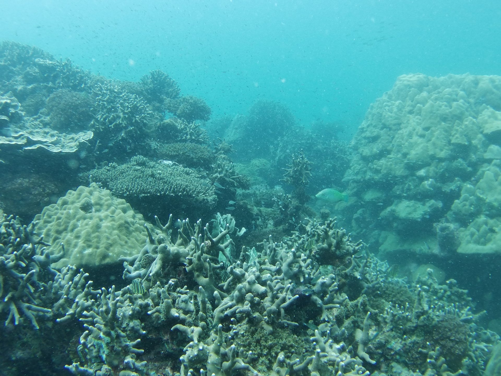Turtle Island photo 7