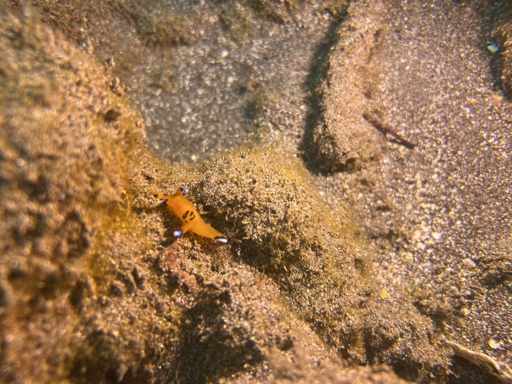NudiMadness photo 4