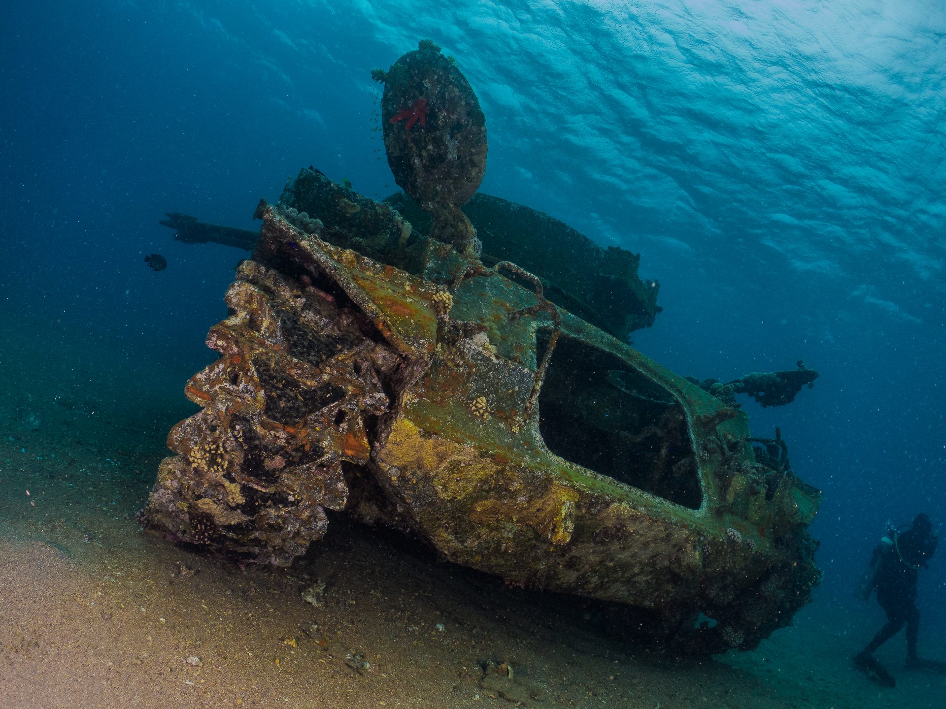 The Tank photo 3