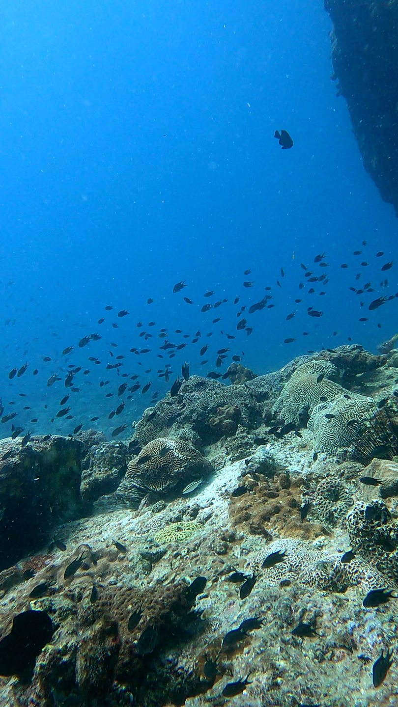 Aquarium photo 8