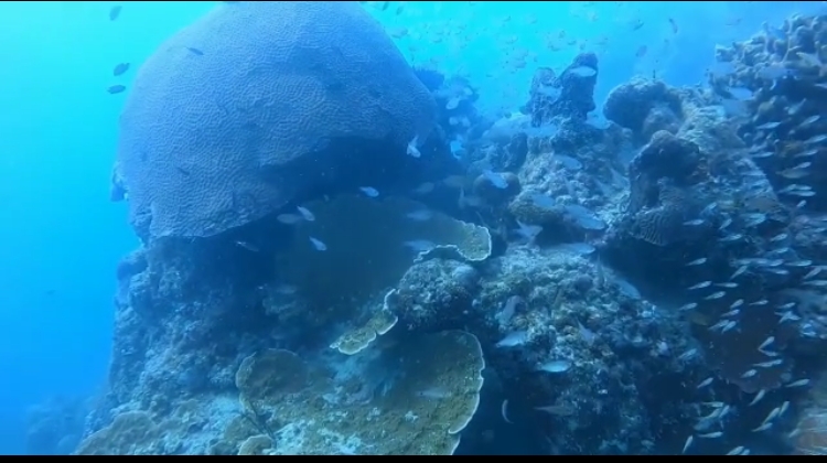 Pulau Matahari