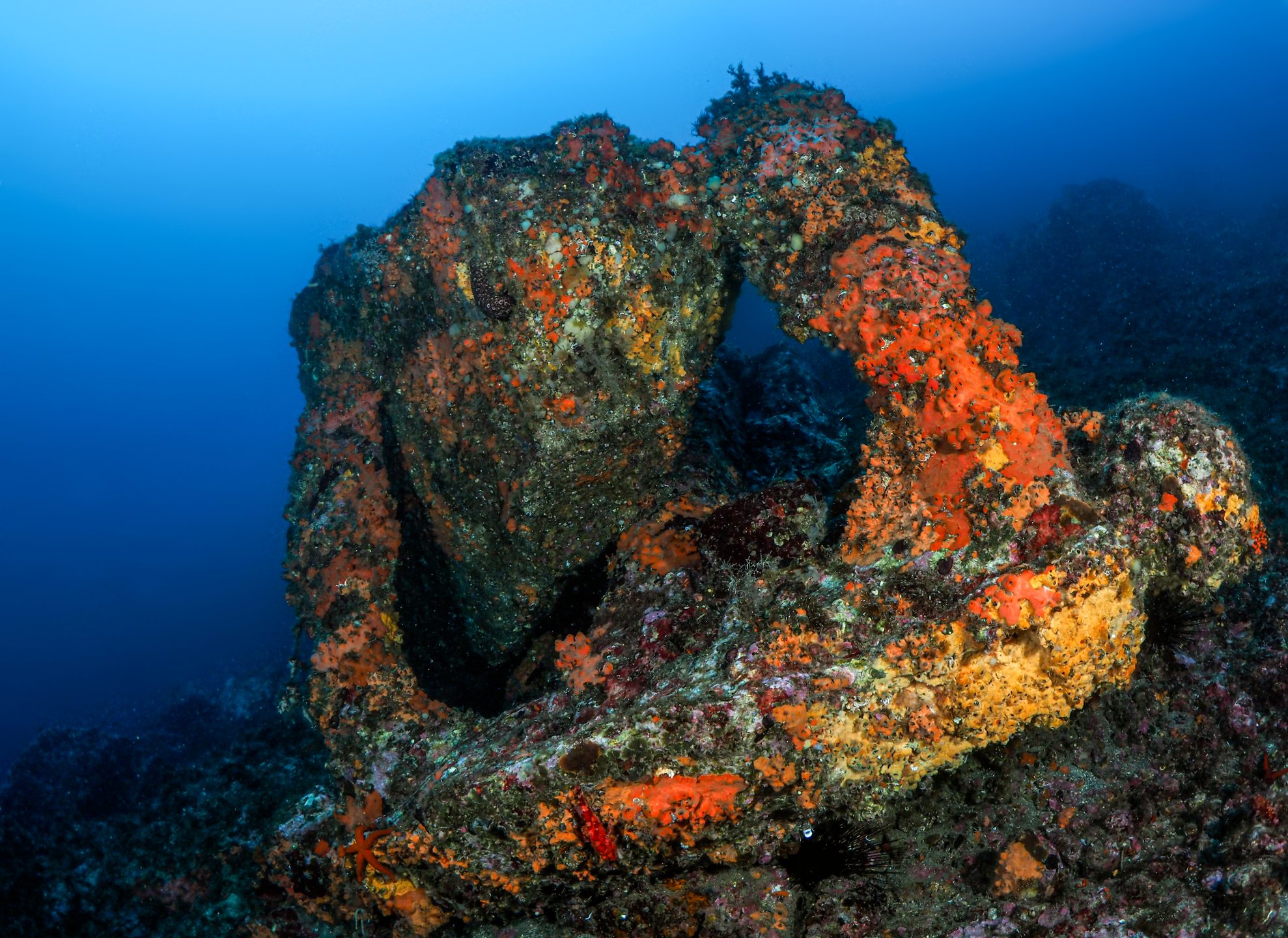 Relitto Toikosan Maru photo 7