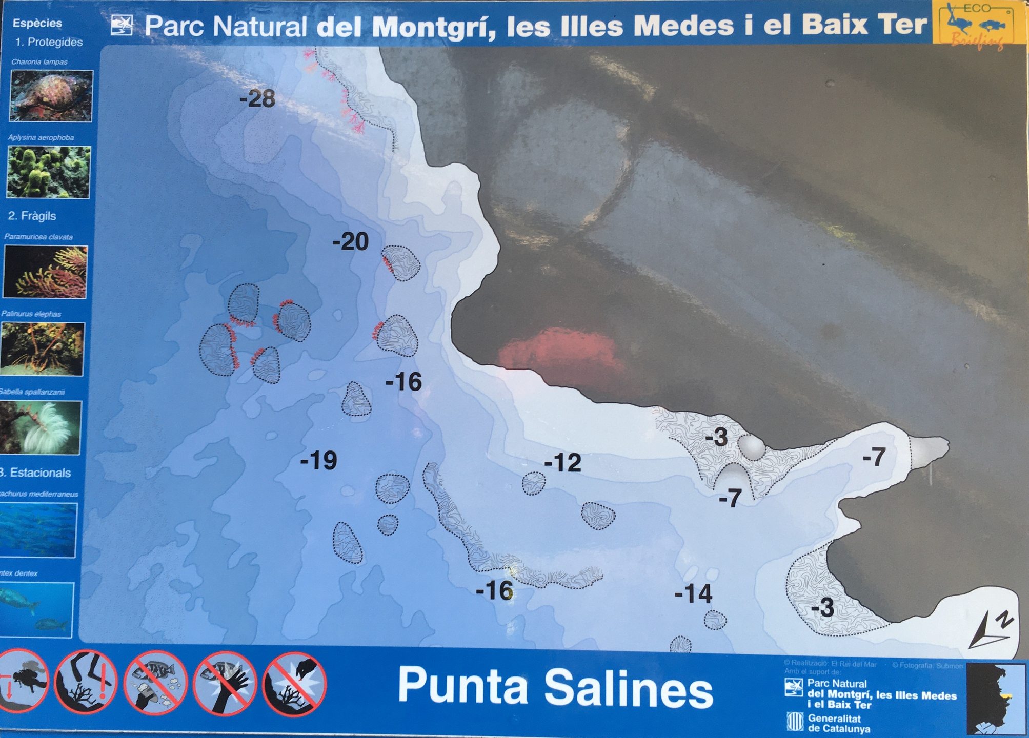 Punta Salinas photo 3