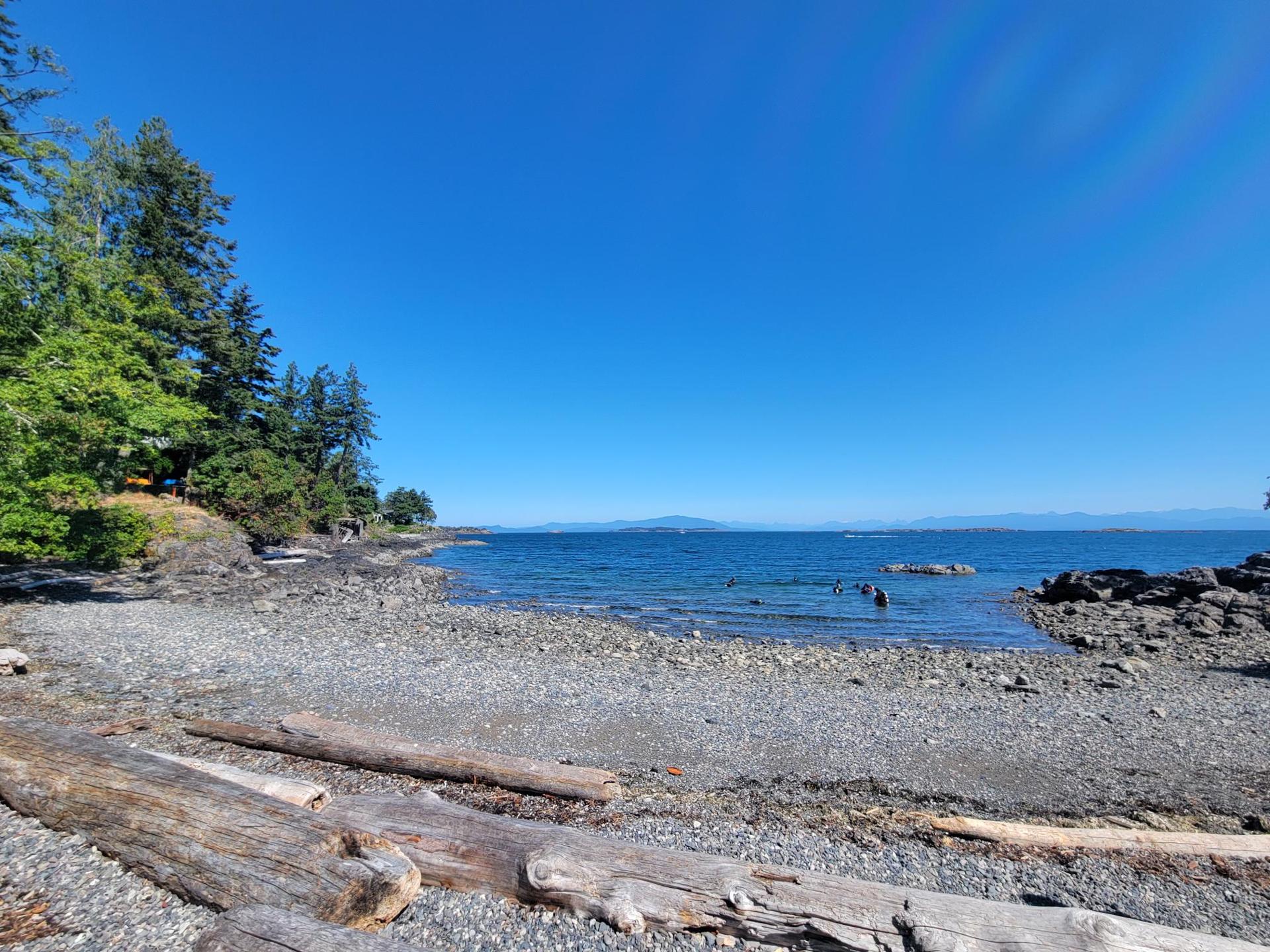 Tyee Cove