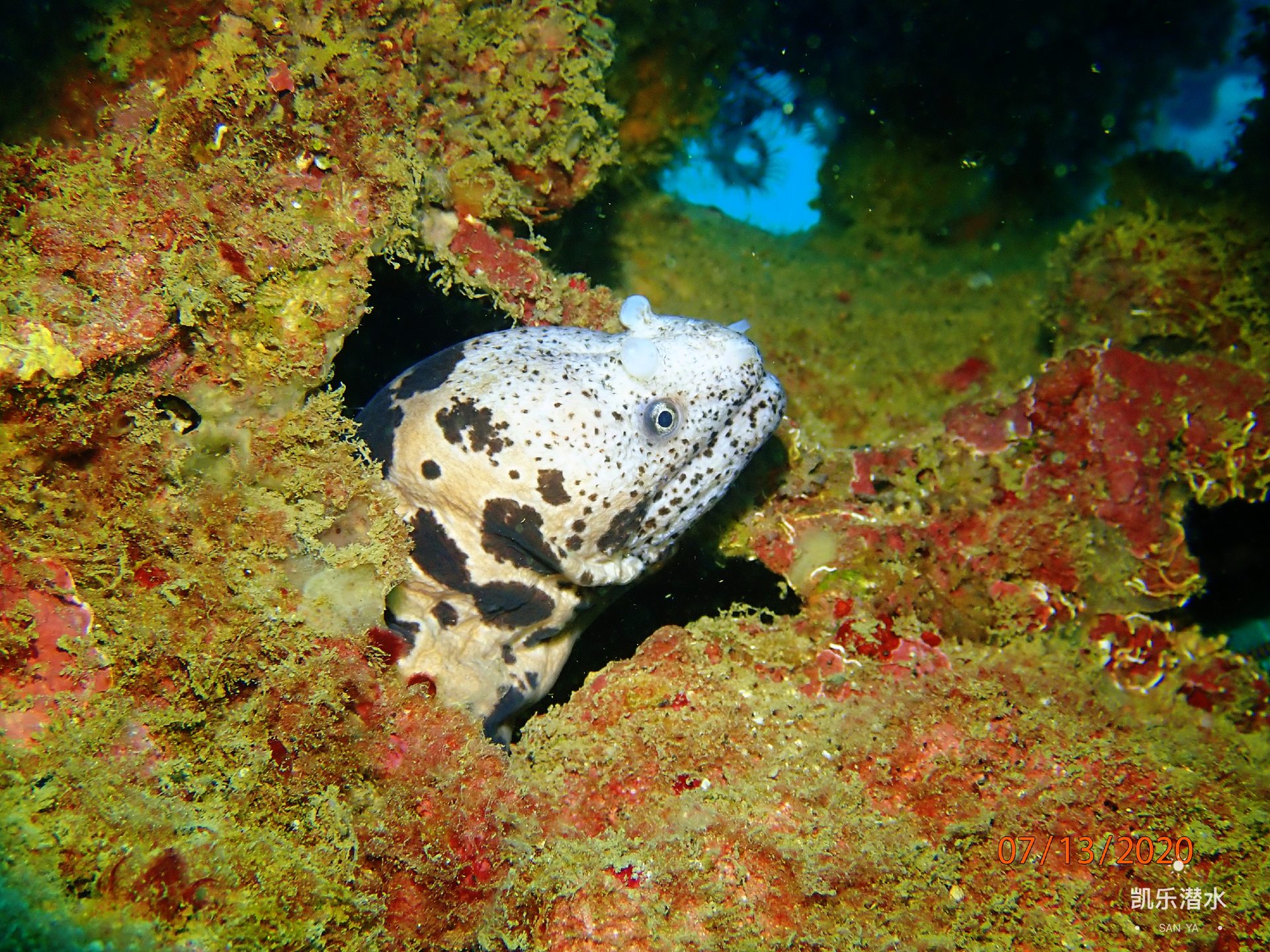百福湾 photo 14