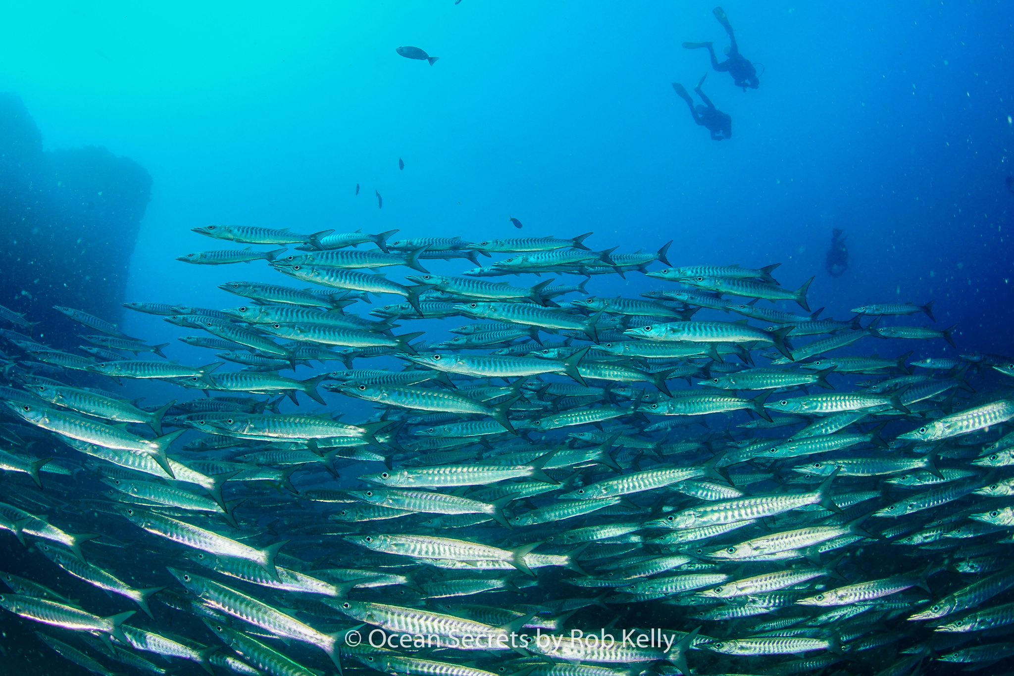 Chumphon Pinnacle photo 9