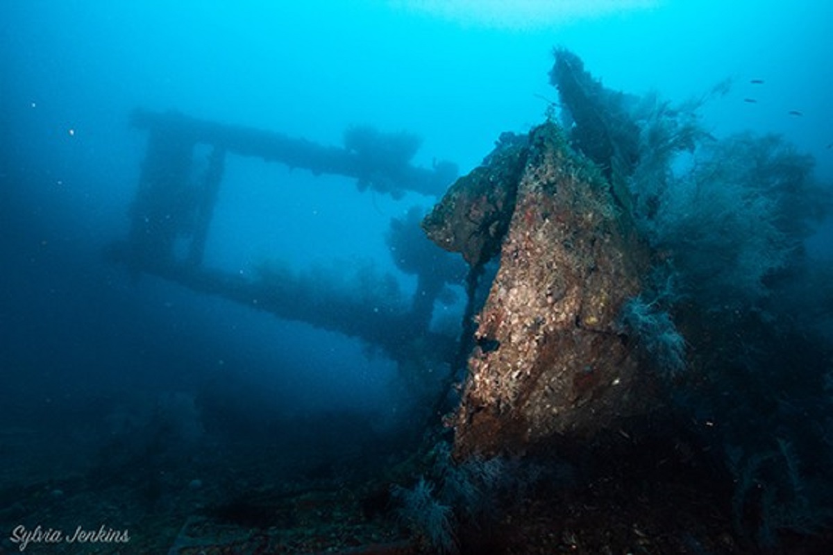 Lighthouse wreck