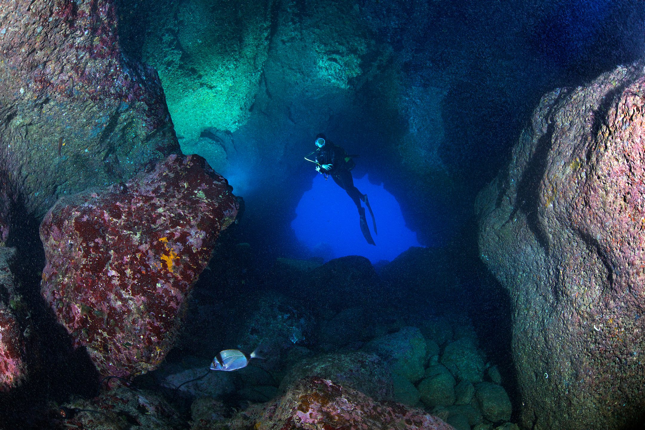 Cuevas de Ses Caletes