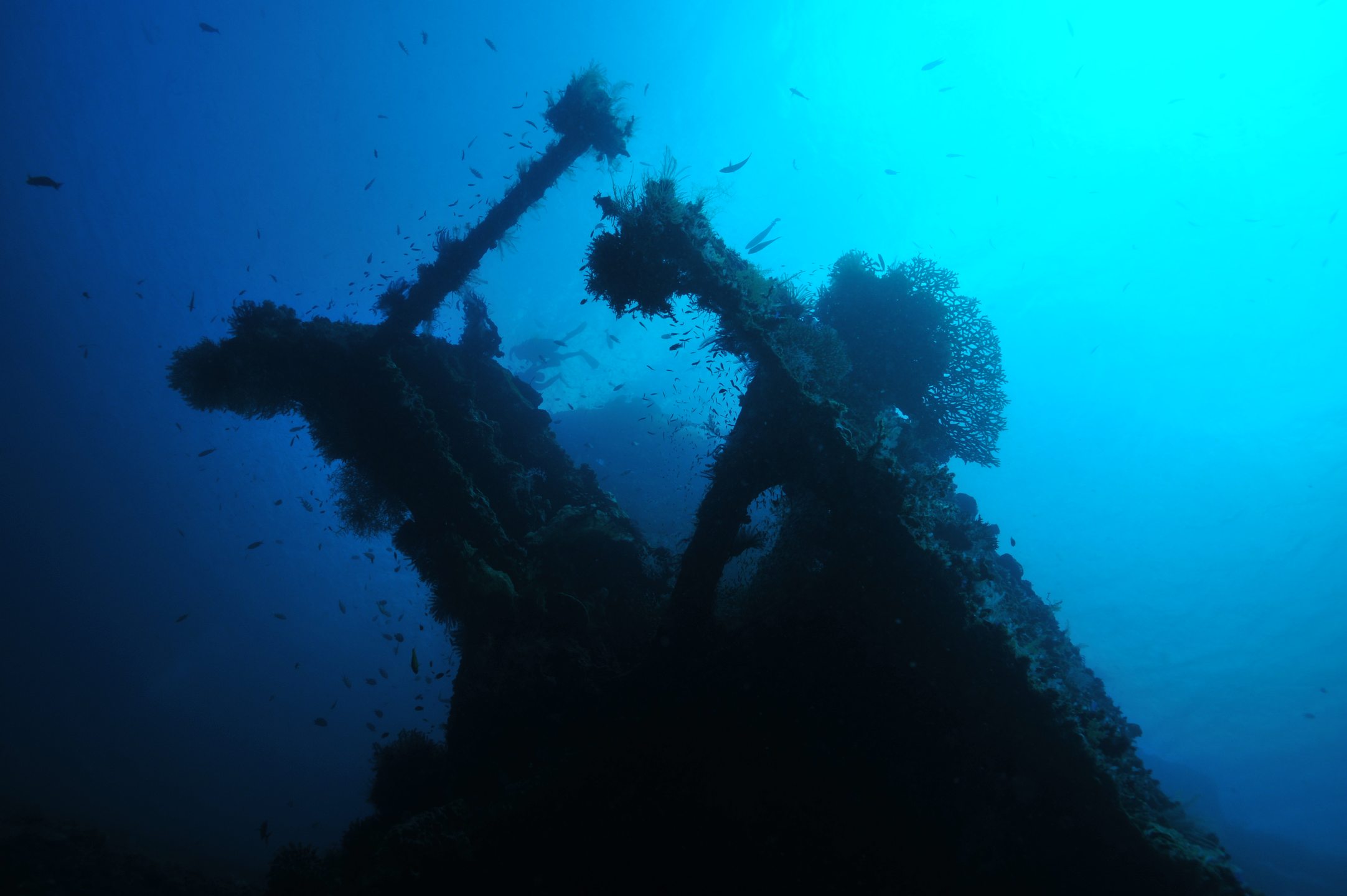USAT Liberty Shipwreck photo 5
