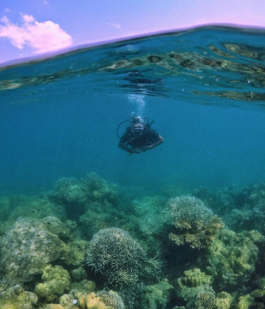Turtle Beach photo 6