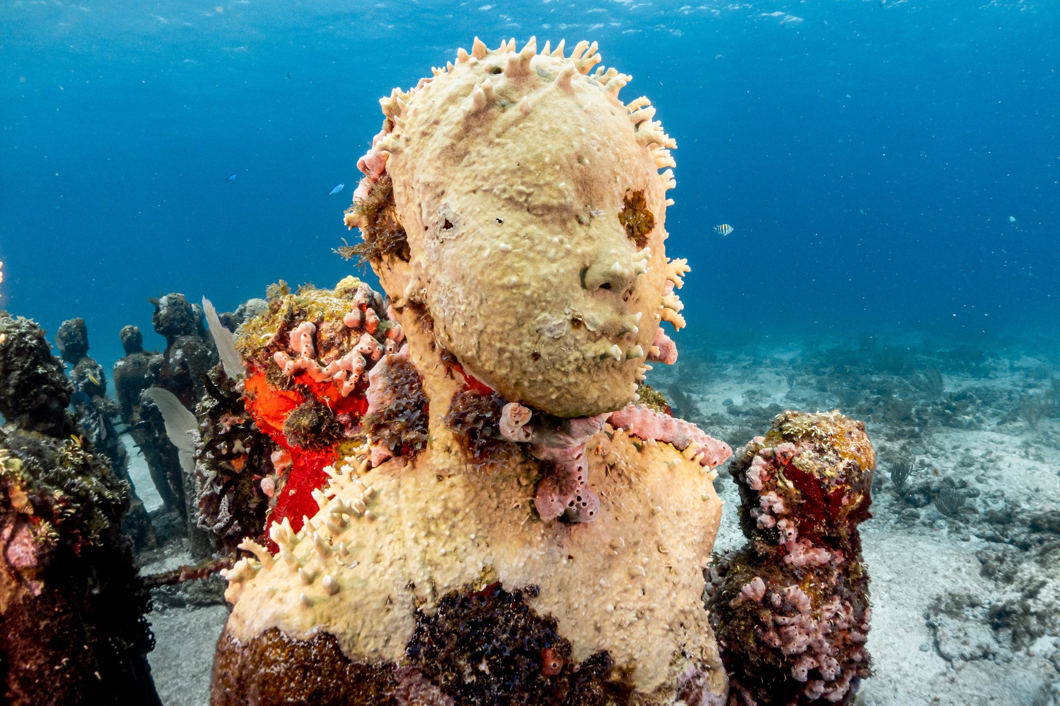 MUSA cancun underwater museum photo 10