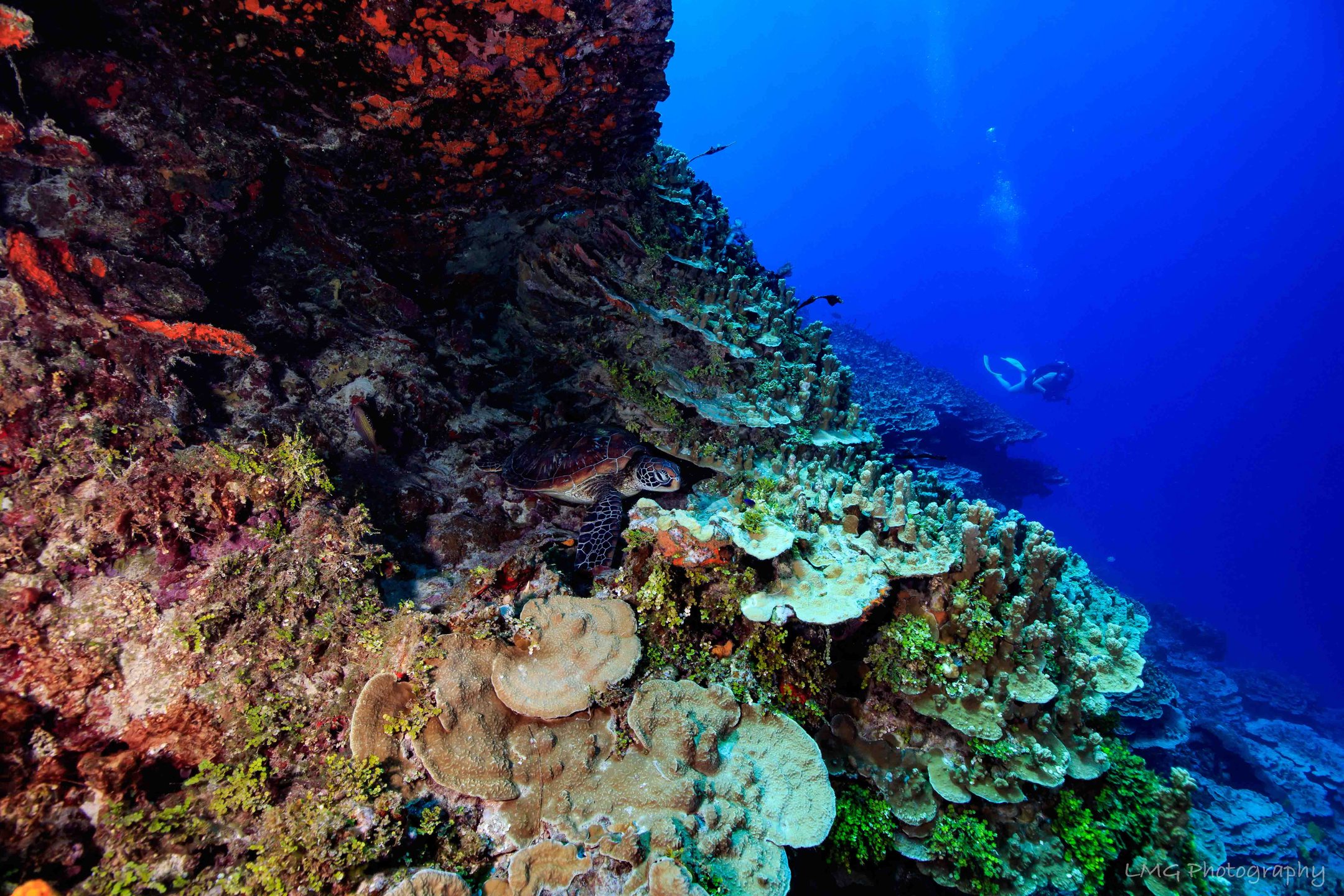 Western Shoals