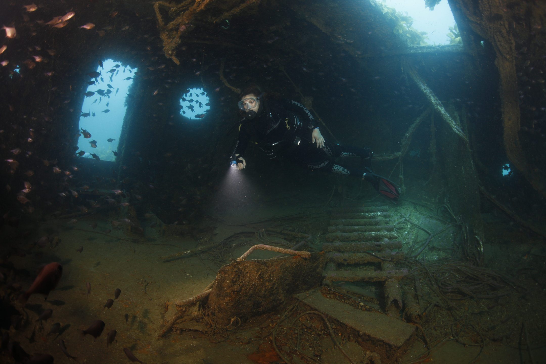 Rainbow Warrior Wreck photo 4