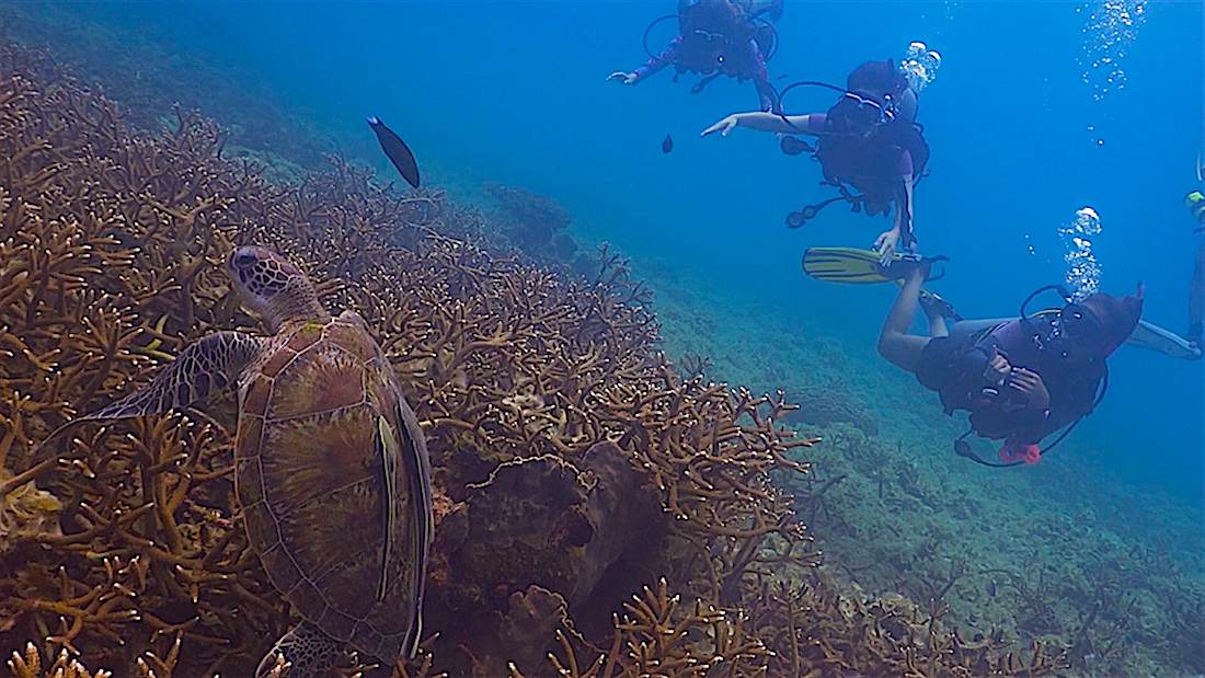 Tanote Bay photo 3