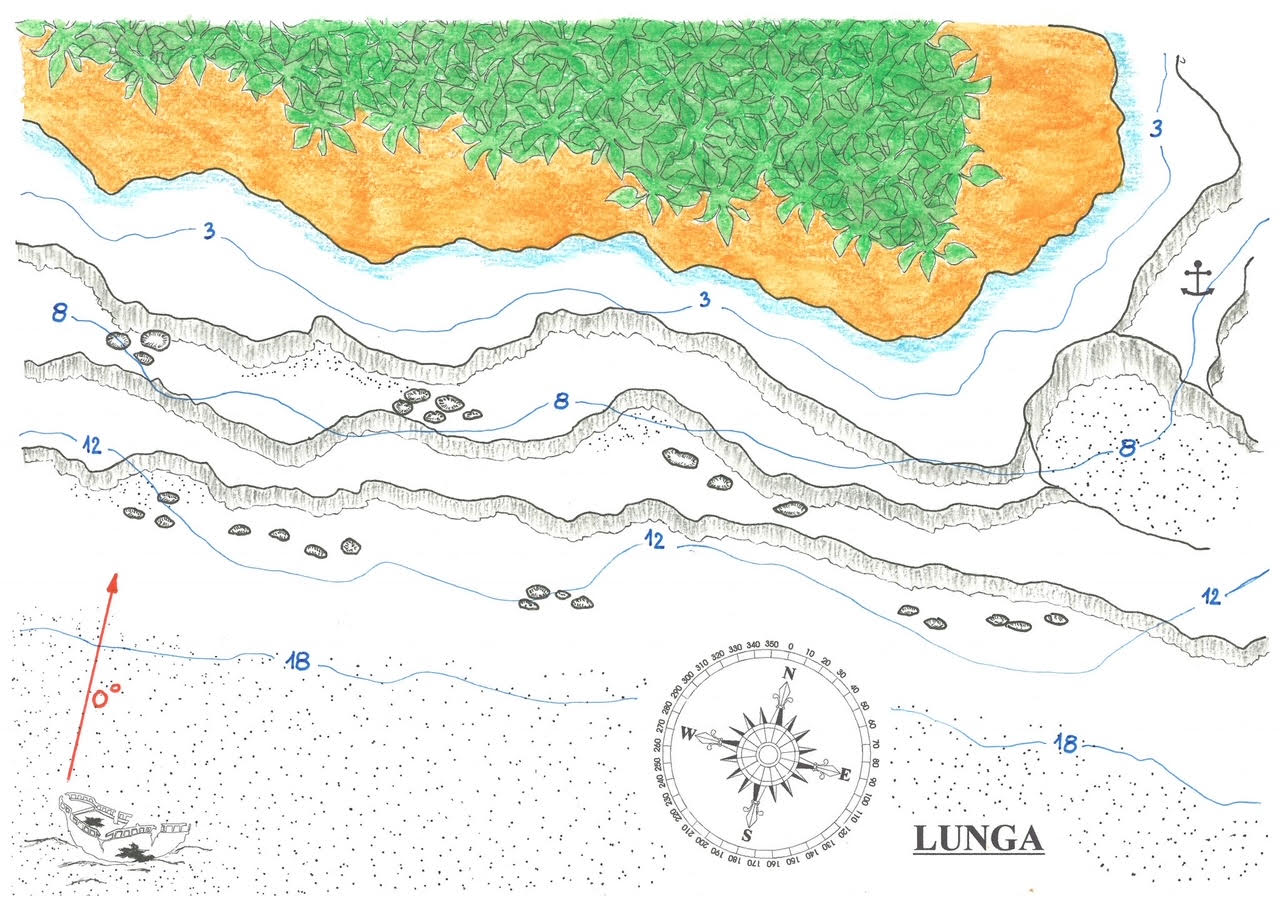 Lunga