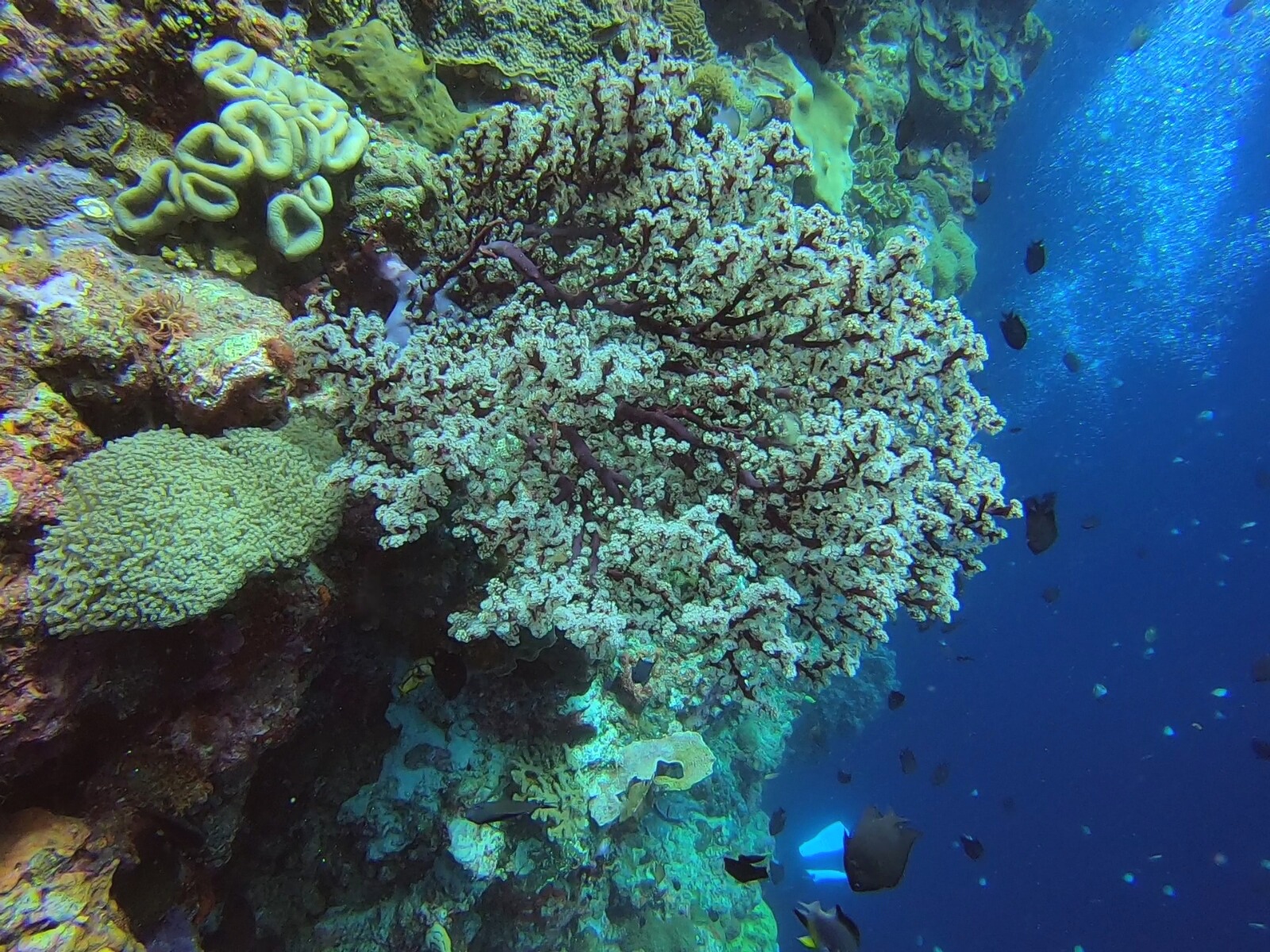Tanjung Parigi photo 4