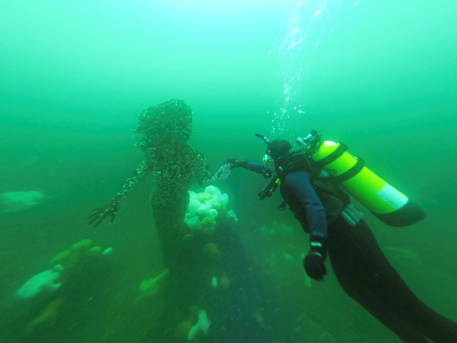 Mermaid Cove photo 2