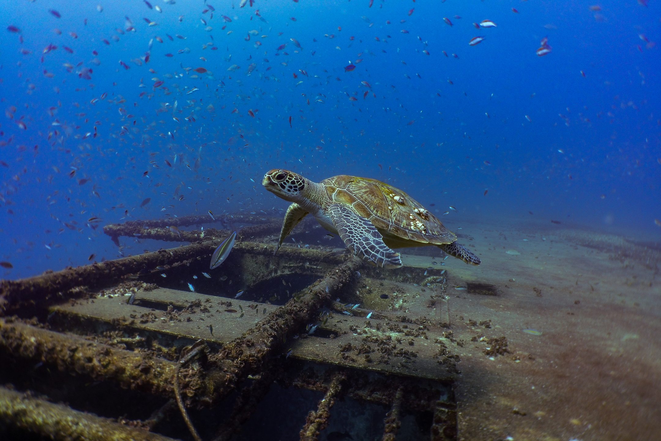 Ex-HMAS Tobruk photo 2