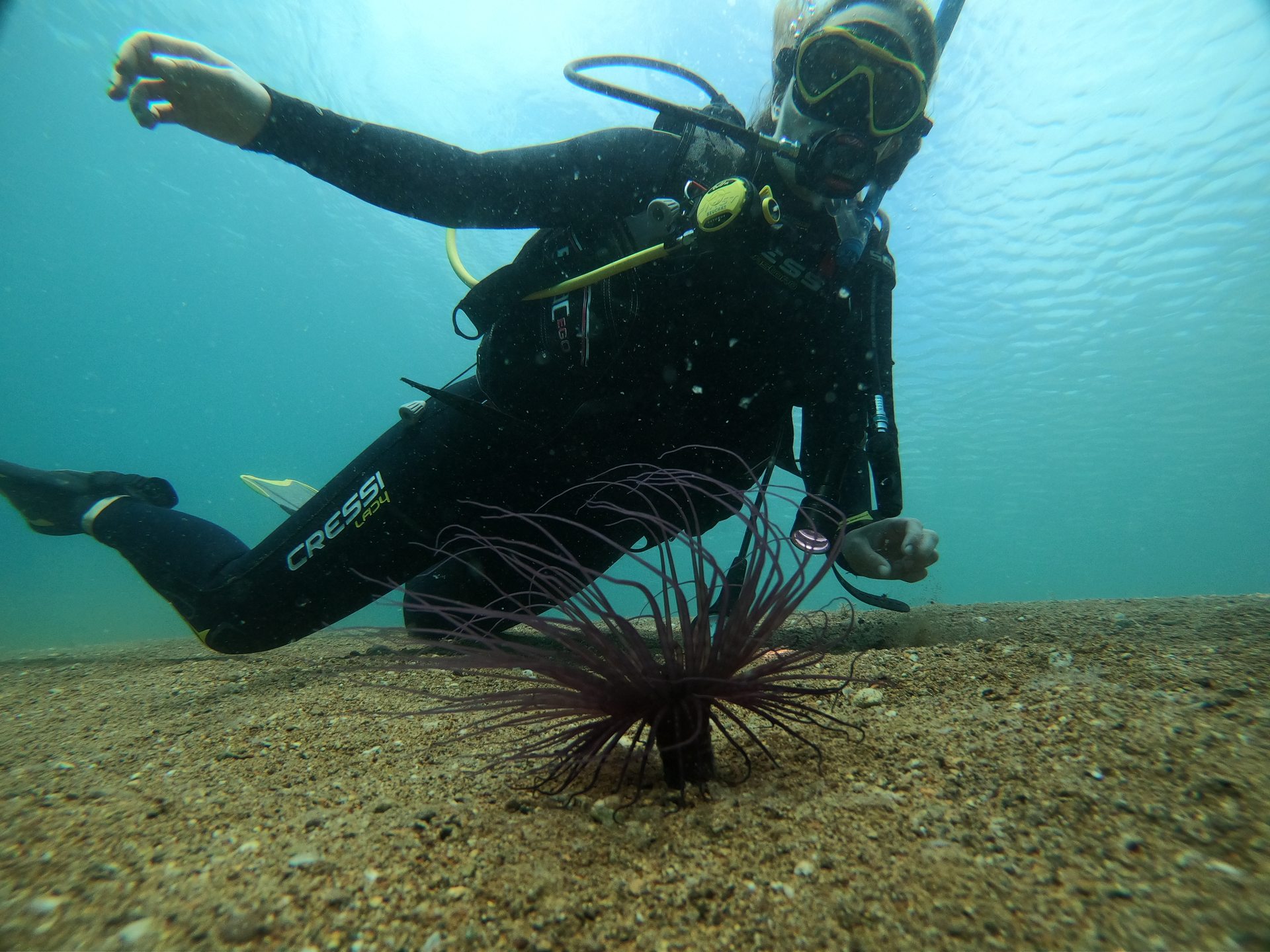 Ilia Evia Island photo 2
