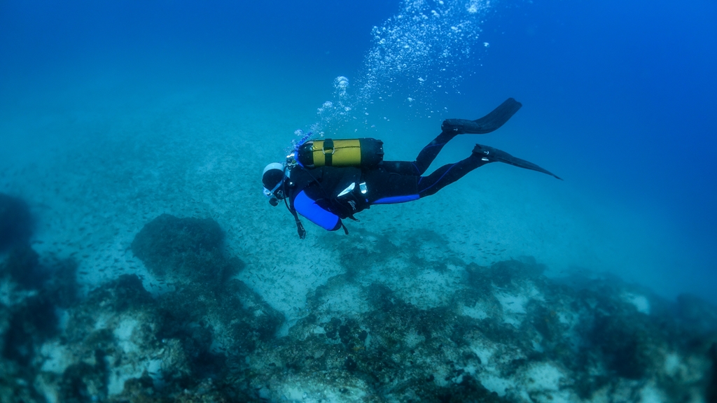 Small reef