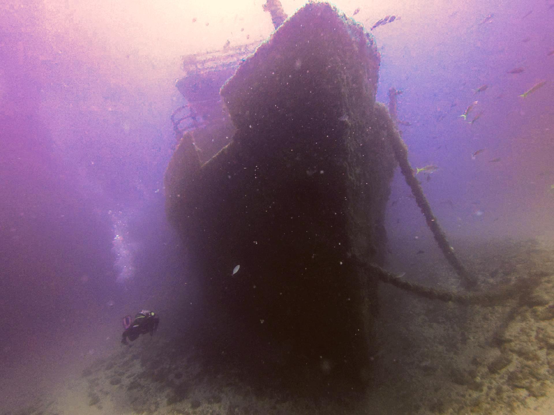 West Palm Beach Atlantic Ocean Diving photo 2