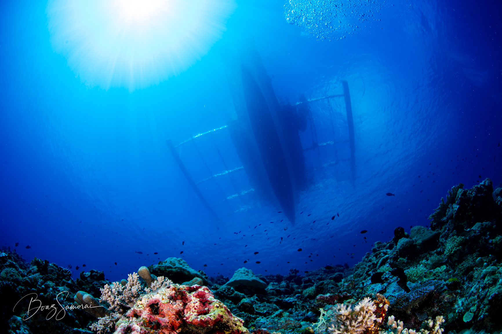 Shark Cave