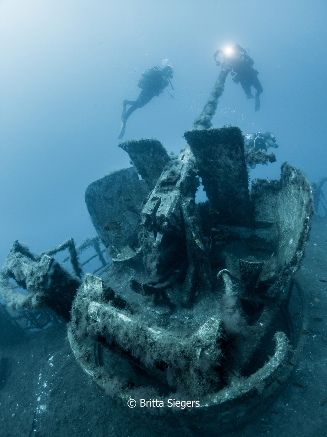 Wreck Afonso Cerqueira photo 11
