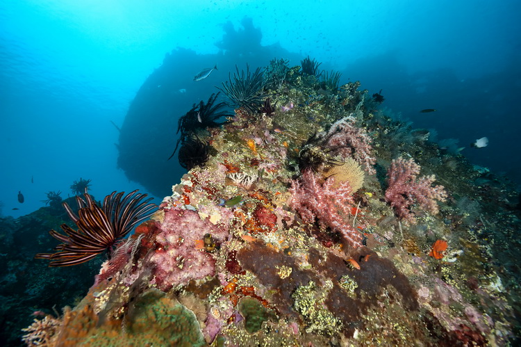 Indonesia Bali Tulamben USS Liberty Wreck