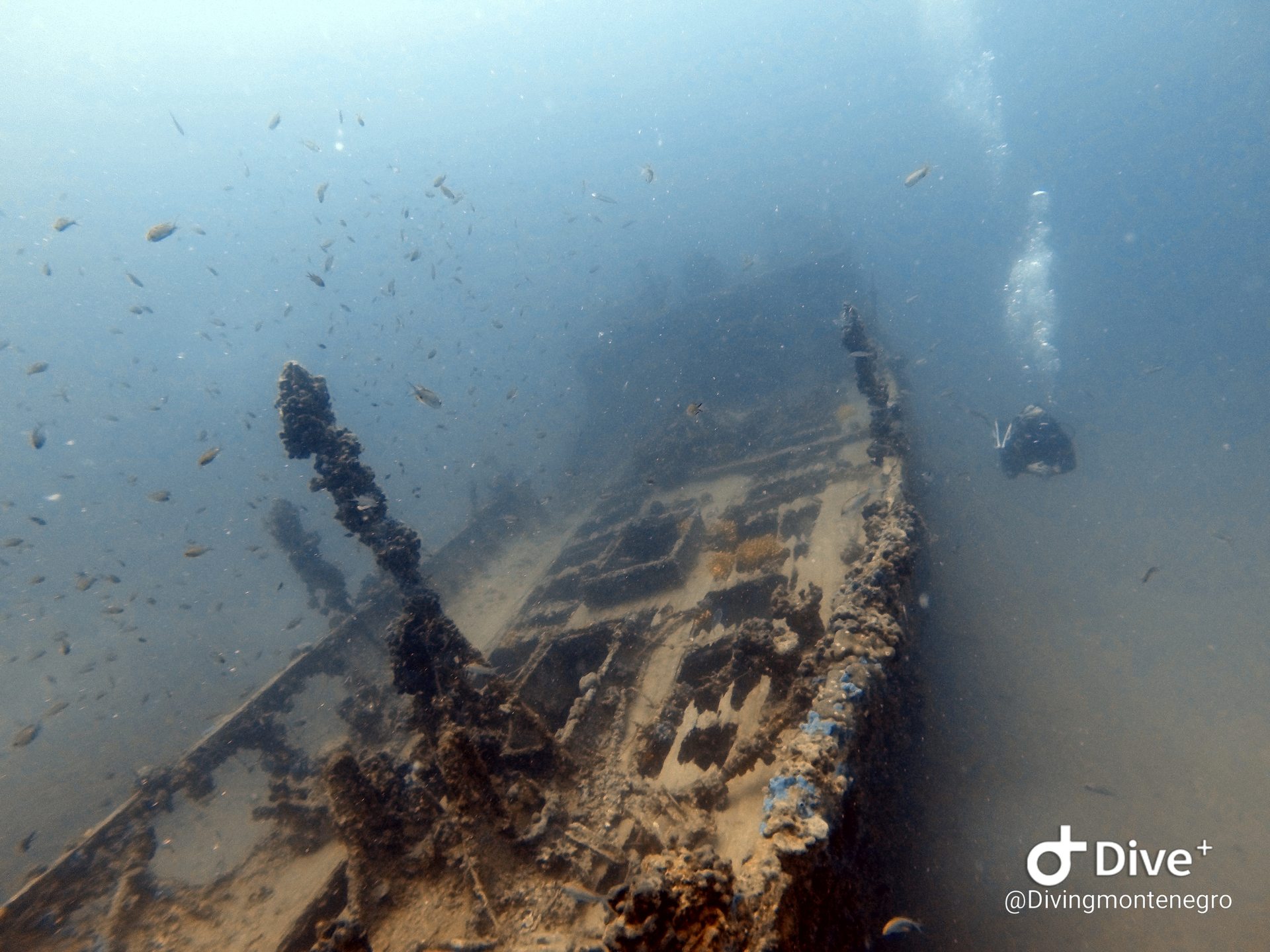 Tihani Shipwreck photo 15