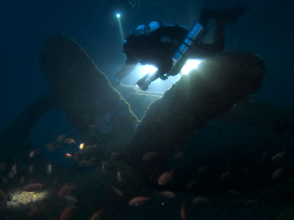 SS Tuggerah Wreck photo 4