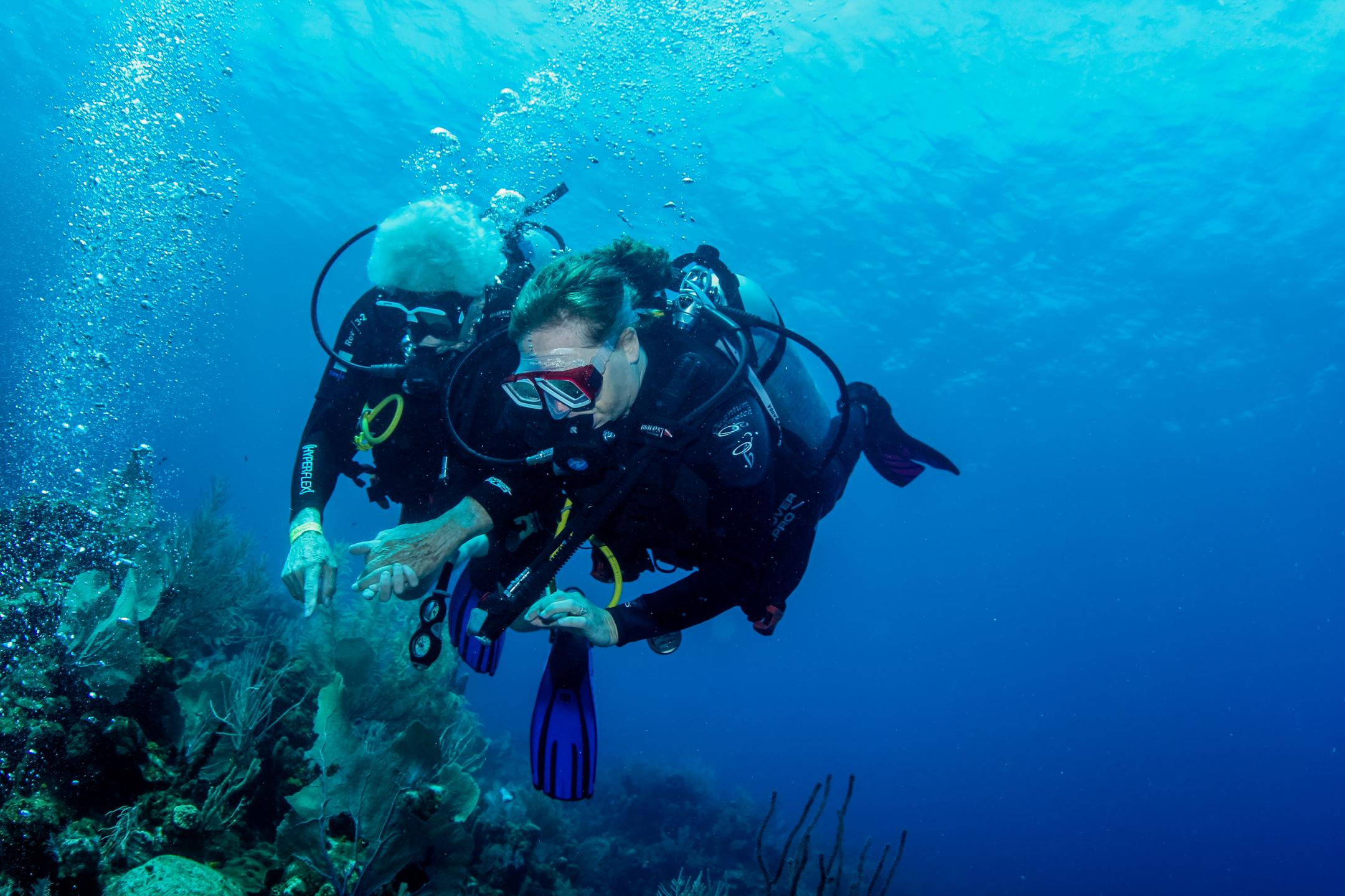Canyon Reef photo 2