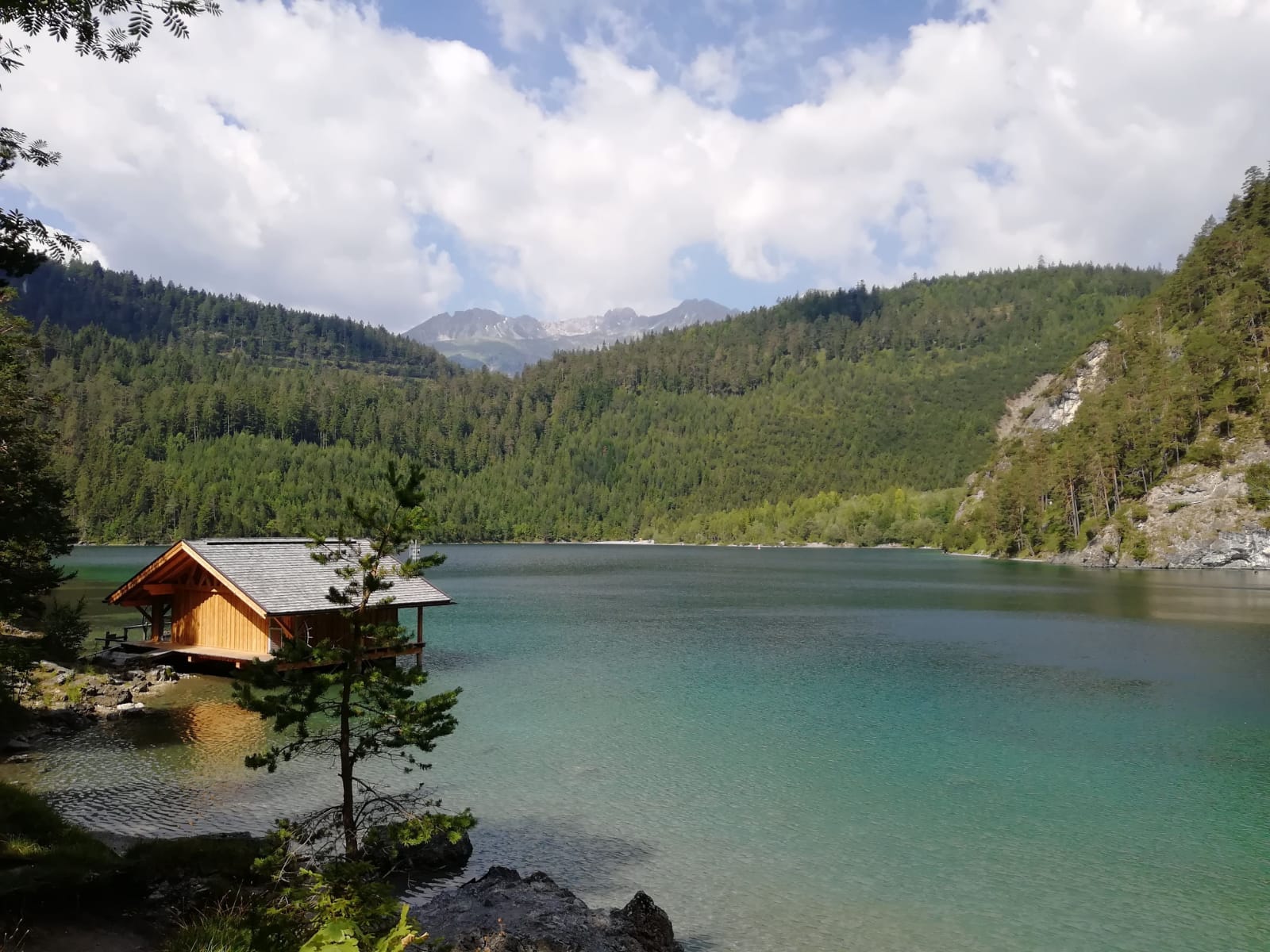 Blindsee photo 5