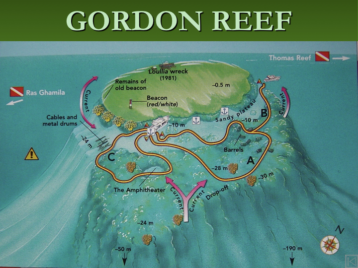 Gordon Reef - Straits of Tiran photo 2