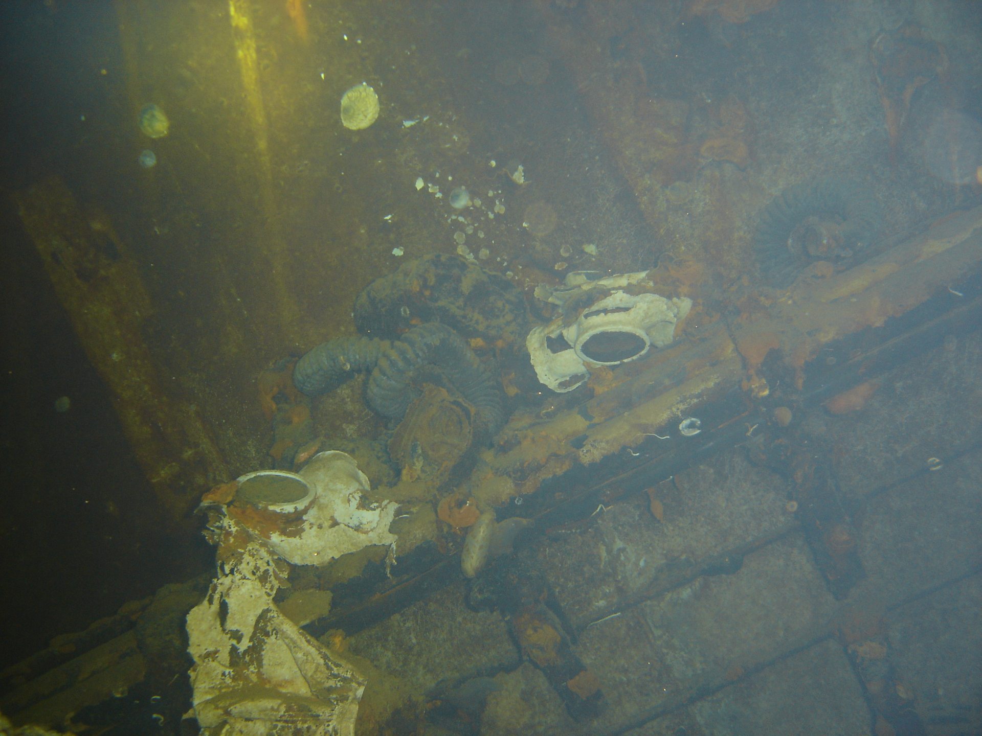 MS Mikhail Lermontov Wreck photo 5