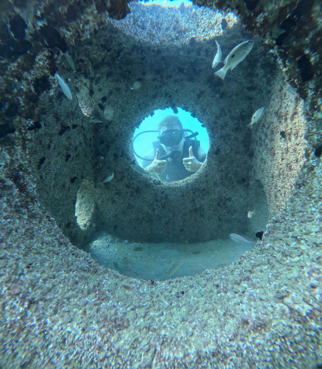 EA Artificial Reef photo 7