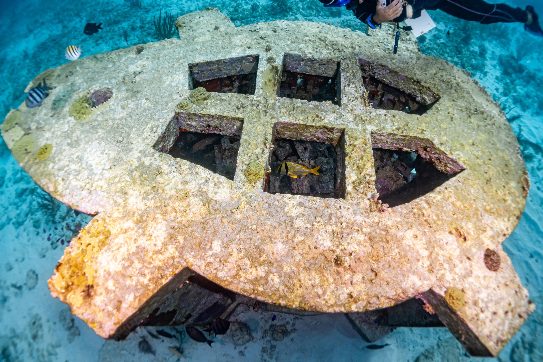 MUSA cancun underwater museum photo 3
