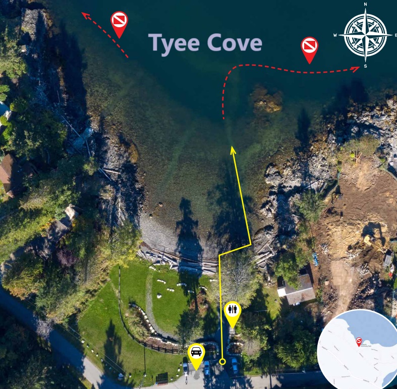 Tyee Cove photo 5