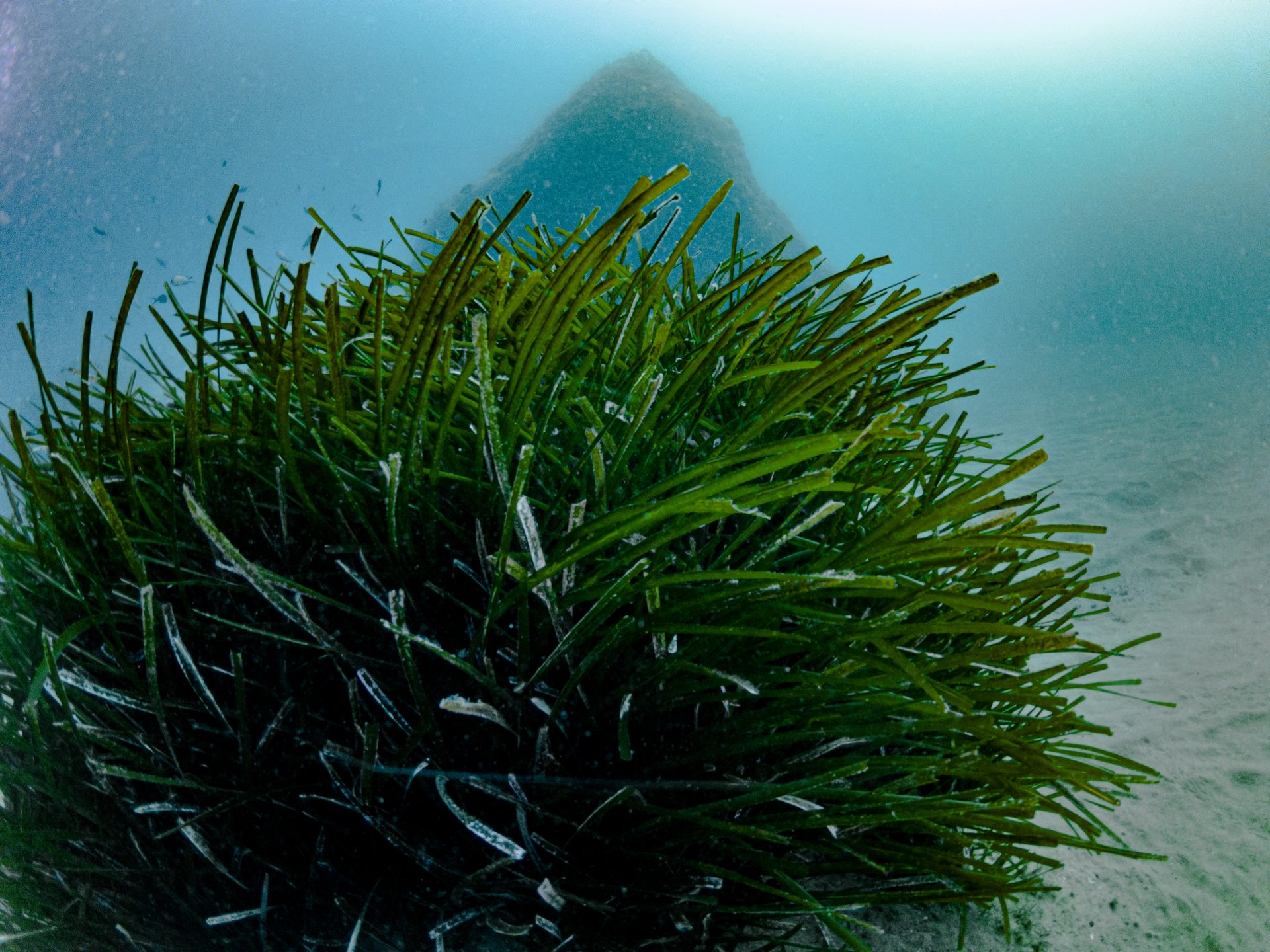 Punta Caruso