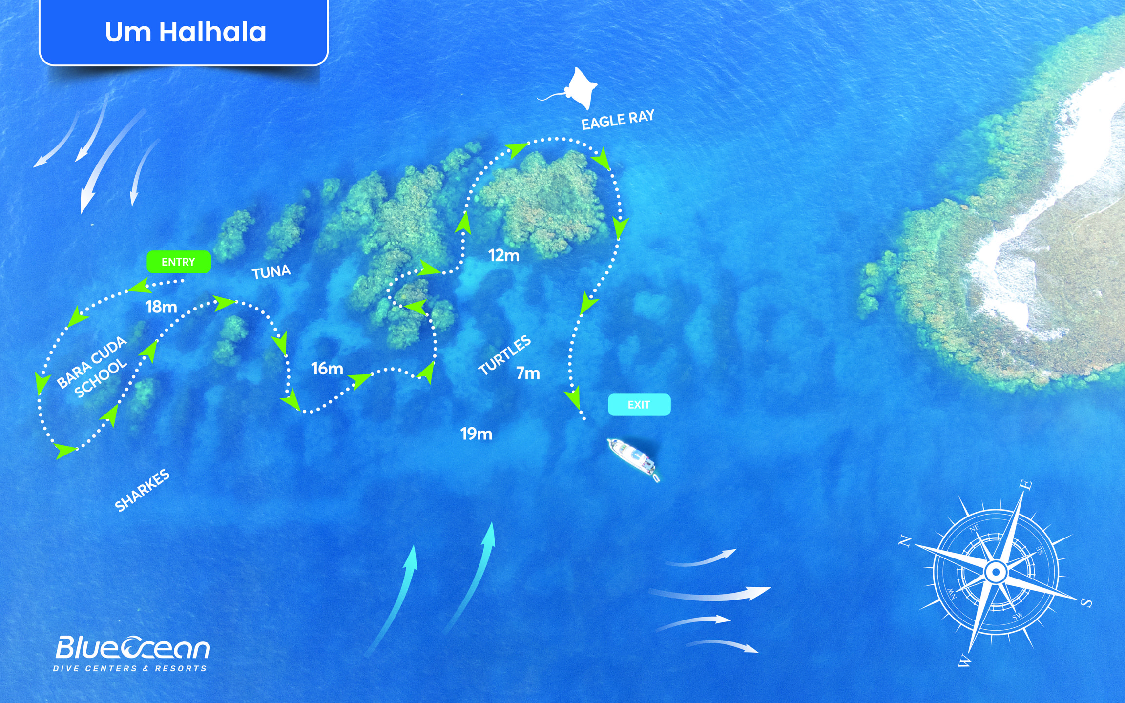 Um Halhala Divesite