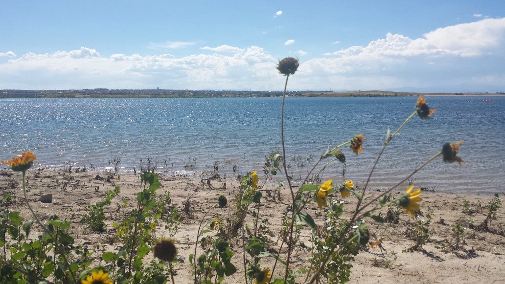 Aurora Reservoir photo 8
