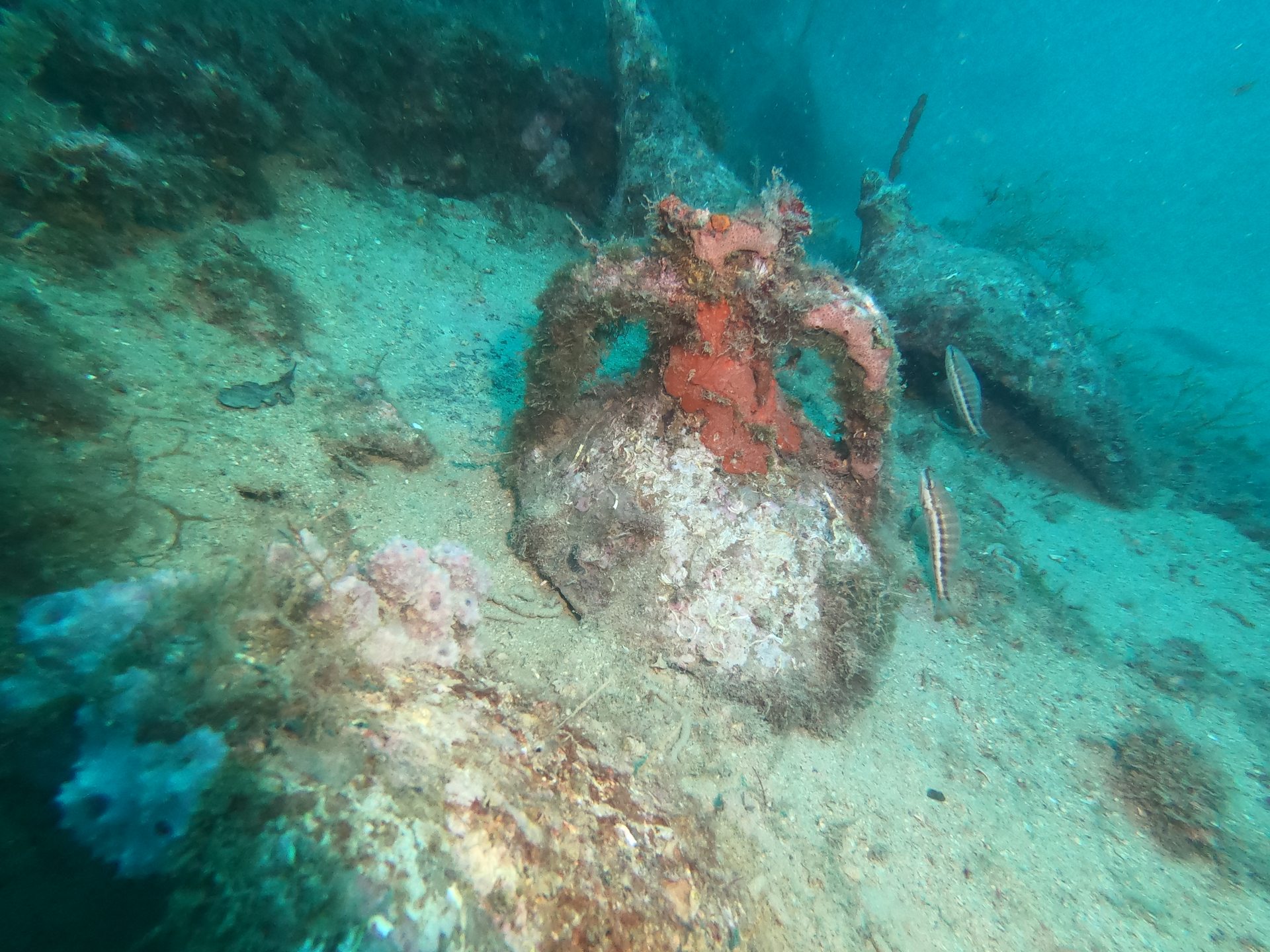 WRECK „ALCADIJA“ photo 6