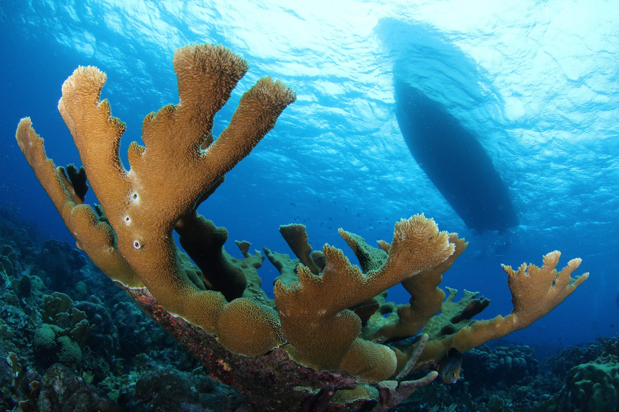 Shipwreck Point photo 2