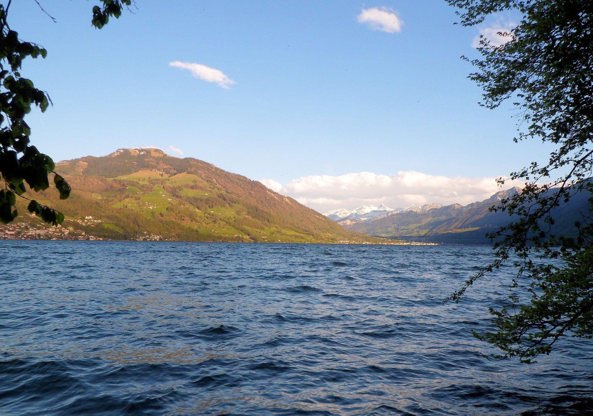 Baumgarten Immensee photo 2